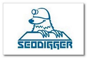 Ресурс Seodigger в помощь веб-мастерам